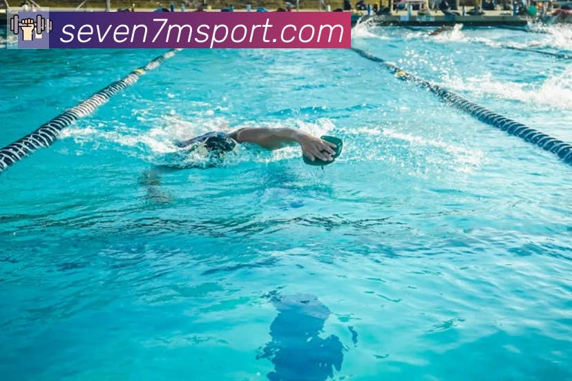 平台展示图